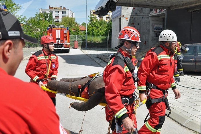 Руски ватрогасци - спасиоци и припадници Горске службе спасавања на показној вежби у Нишу.