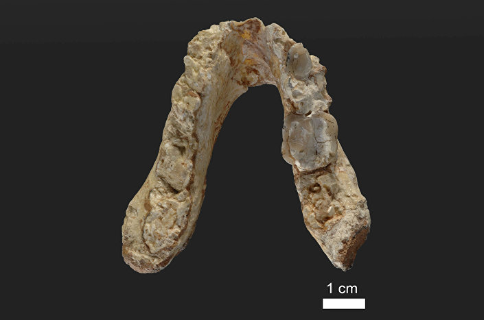 Зуб пронађен у Грчкој