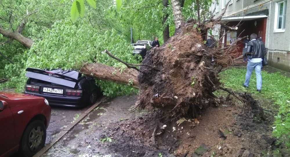 У урагану у Москви страдало 16 особа