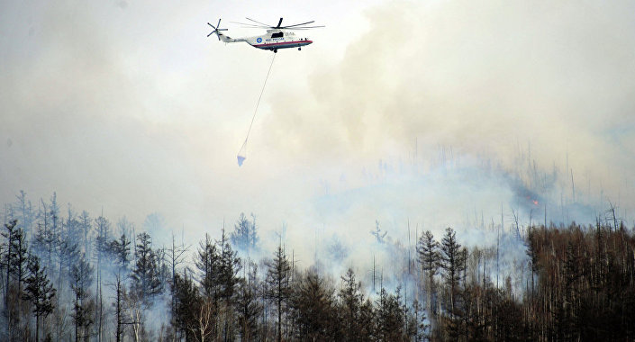 Само у последња 24 часа екипе МЧС-а у Сибиру су угасиле осам великих шумских пожара.